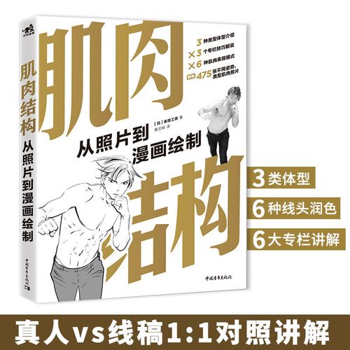 肌肉结构 从照片到漫画绘制人体结构教学人物速写入门基础绘画