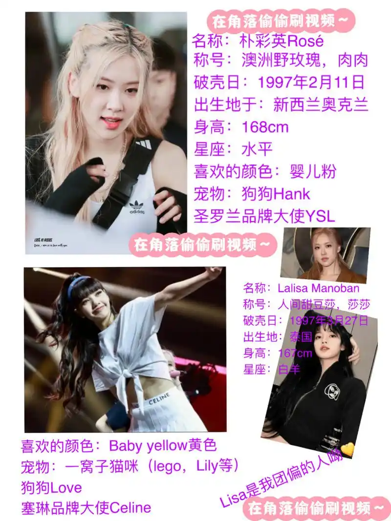 blackpink全员资料来喽 9215盗贼,如果要的话,必须在评论区艾特我