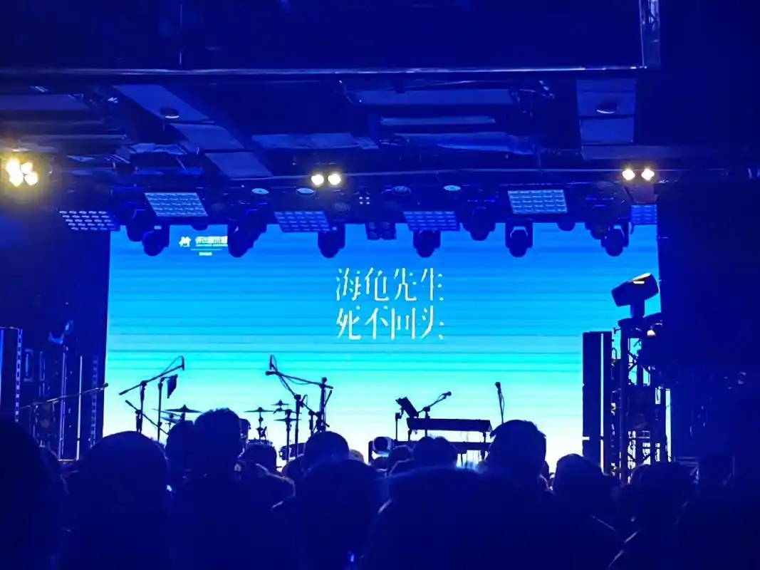 海龟先生真的非常非常有品位的乐队没见过那么好的现场