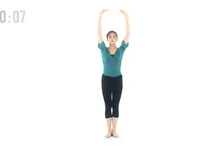 蓝菲中国舞元素教学双托掌