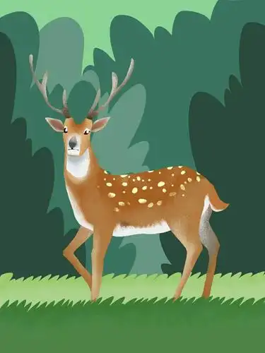 林中有只梅花鹿