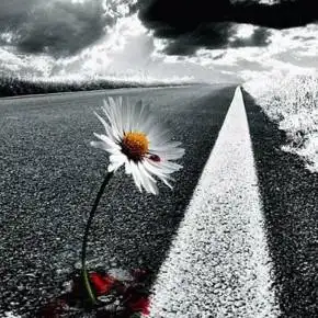 精选悲伤小提琴79怀旧之路