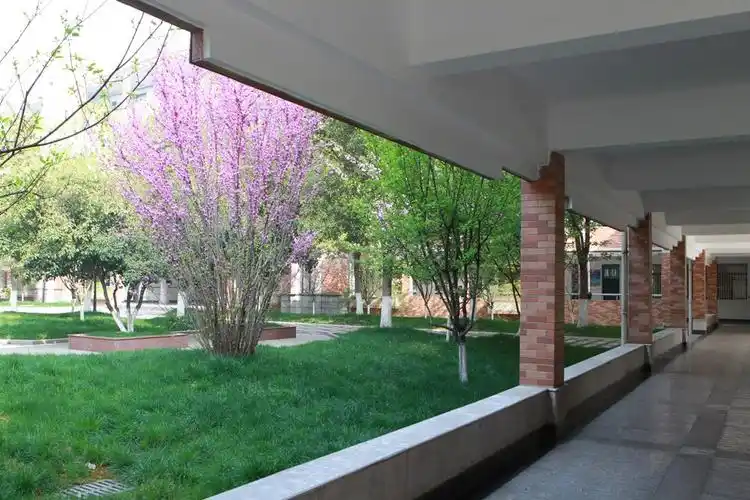 美丽的校园一角