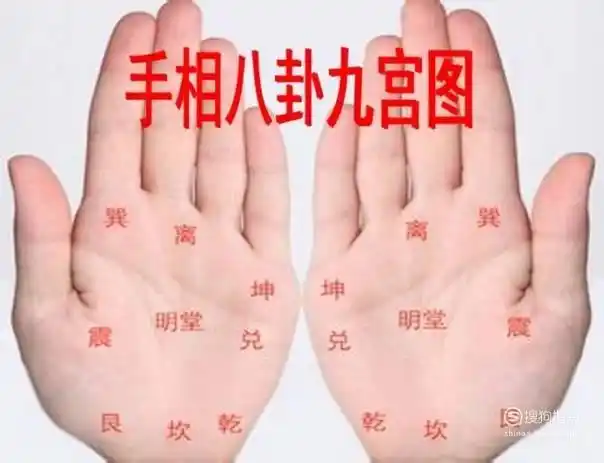 怎么学会看手相  第4张