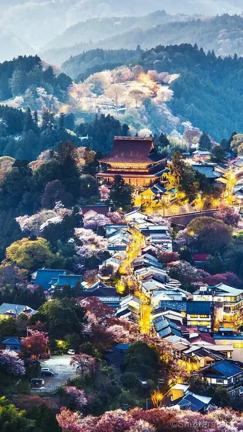 日本樱花 - 堆糖,美图壁纸兴趣社区