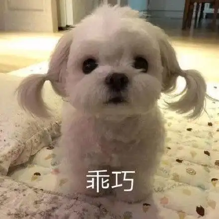 蘑菇头 乖巧表情包 - 蘑菇头 乖巧微信表情包 - 蘑菇头 乖巧qq表情包