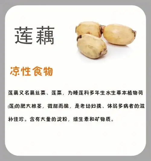 no28莲藕减肥又补血