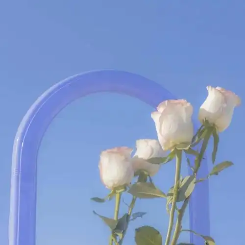 朋友圈背景图抖音比较火的封面图