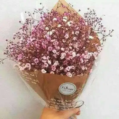 满天星头像女生专用高清图片好看的满天星唯美图片大全