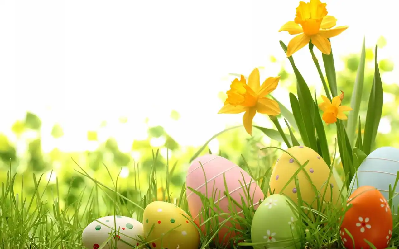 小清新创意护眼高清桌面壁纸