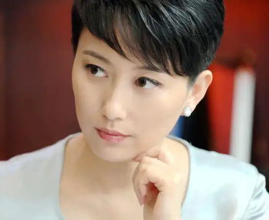 丁柳元主演的电视剧,吴京安电视剧(宋楚炎,丁柳元主演《我是老兵》热