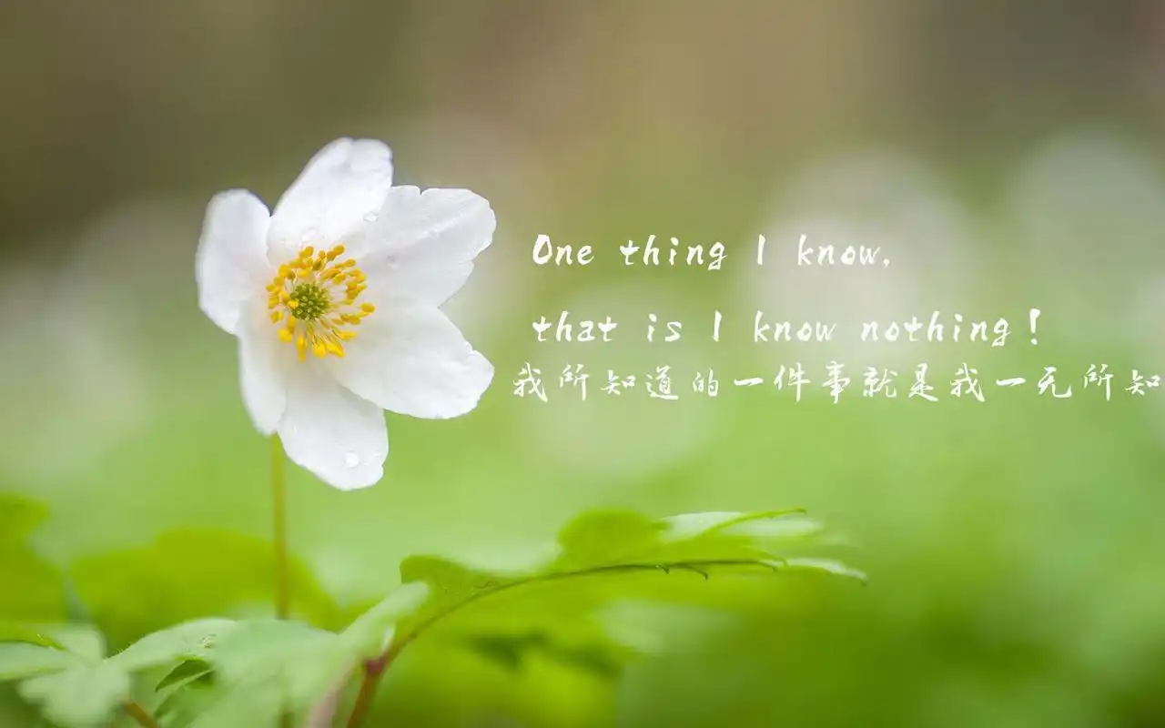 风格壁纸,宽屏,唯美,小清新,文字,语录,励志,壁纸,1920x1080