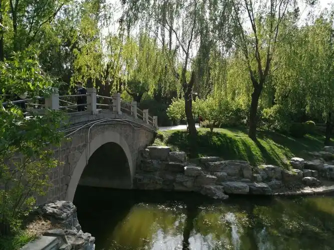 今天大风降温,以柳取胜并有田园风光的柳荫公园游人稀少,处处静悄悄.