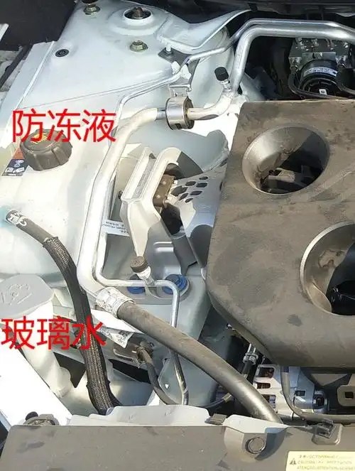 冷冻液原厂是什么型号?_轩逸论坛_汽车之家论坛