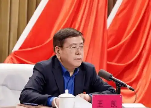 任河南代省长,王凯现场表态:定当视使命如生命,视责任如泰山