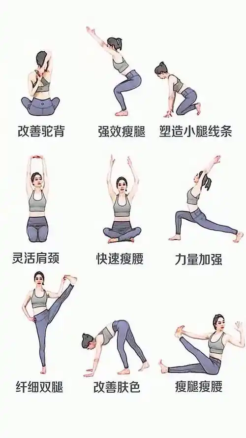 多种基础拉伸动作,放松全身肌群,提升柔韧性