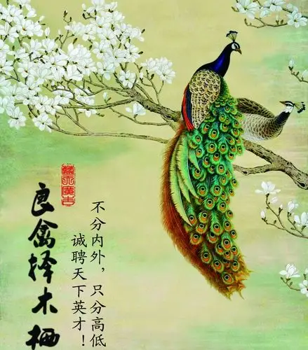 职场必修课-"良禽择木而栖"的四层含义