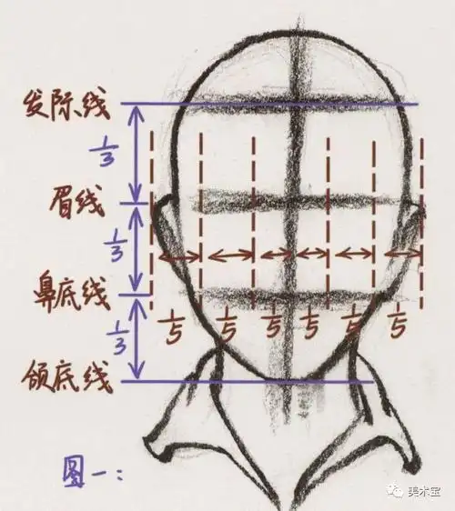 要注意"三庭五眼"的比例与位置关系正面男女青年的刻画注意三个几何体