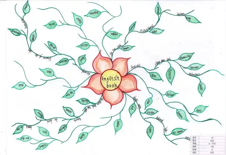 乌兰县第一中学第一届学生学科思维导图大赛学生获奖作品展示