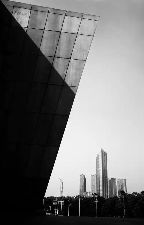 【耕光耘影】简约风格黑白照