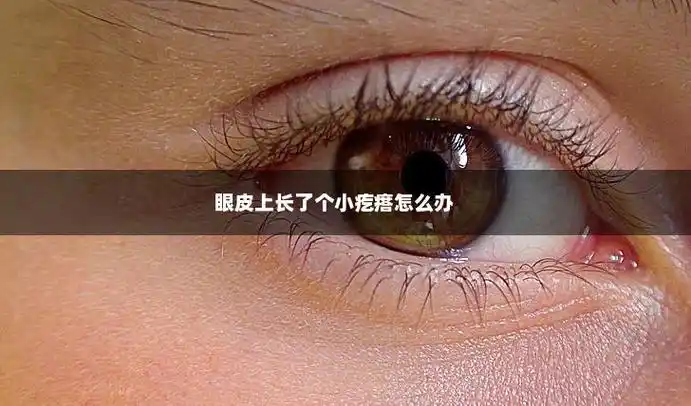 眼皮上长了个小疙瘩怎么办,第1张