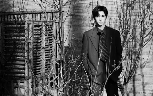 电脑壁纸 明星 大陆明星 时尚帅气西装男孩黄明昊慵懒户外写真