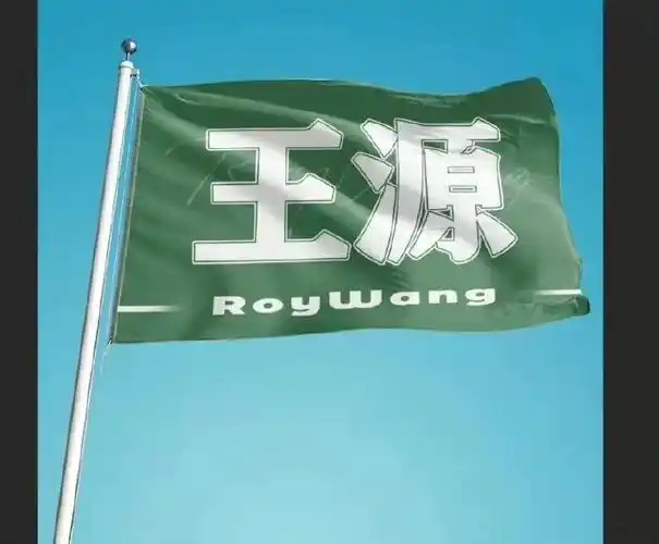 王源高远追光的日子