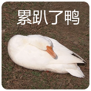 累趴了鸭