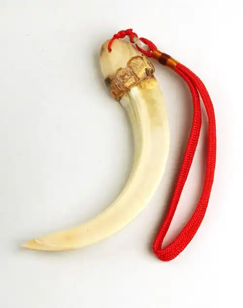 精选天然野猪牙把件挂饰弯月