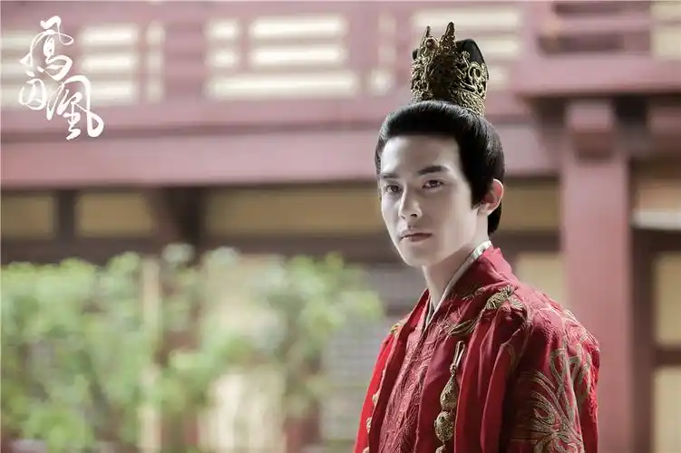 爱情可以重来凤囚凰魏国篇初融甜蜜再恋