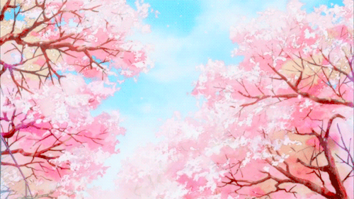 500_281gif 动态图 动图