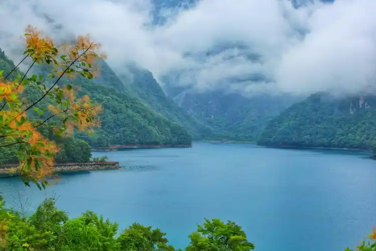 蓝天白云绿草地