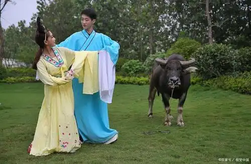 七夕节,织女给牛郎的一封信