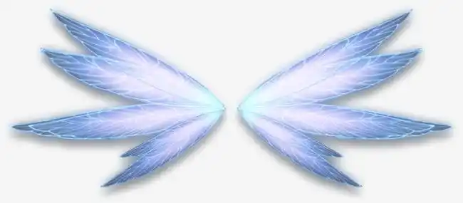 好看的翅膀