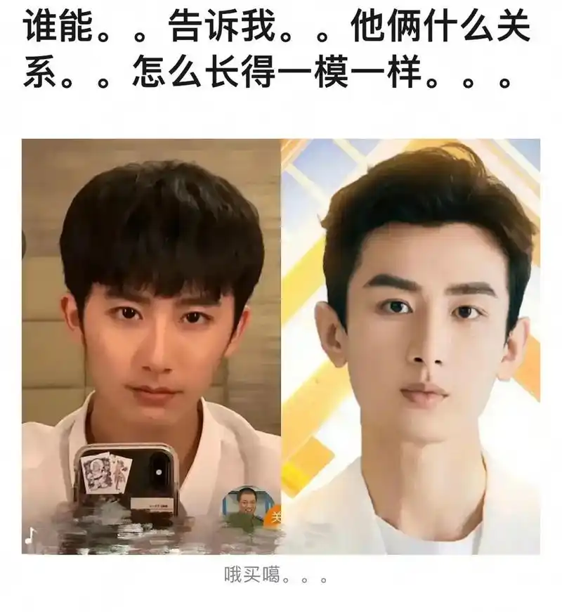 李宏毅和成毅好像啊