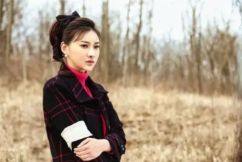 冬梅扮演者白柳汐,冬梅扮演者_大山谷图库