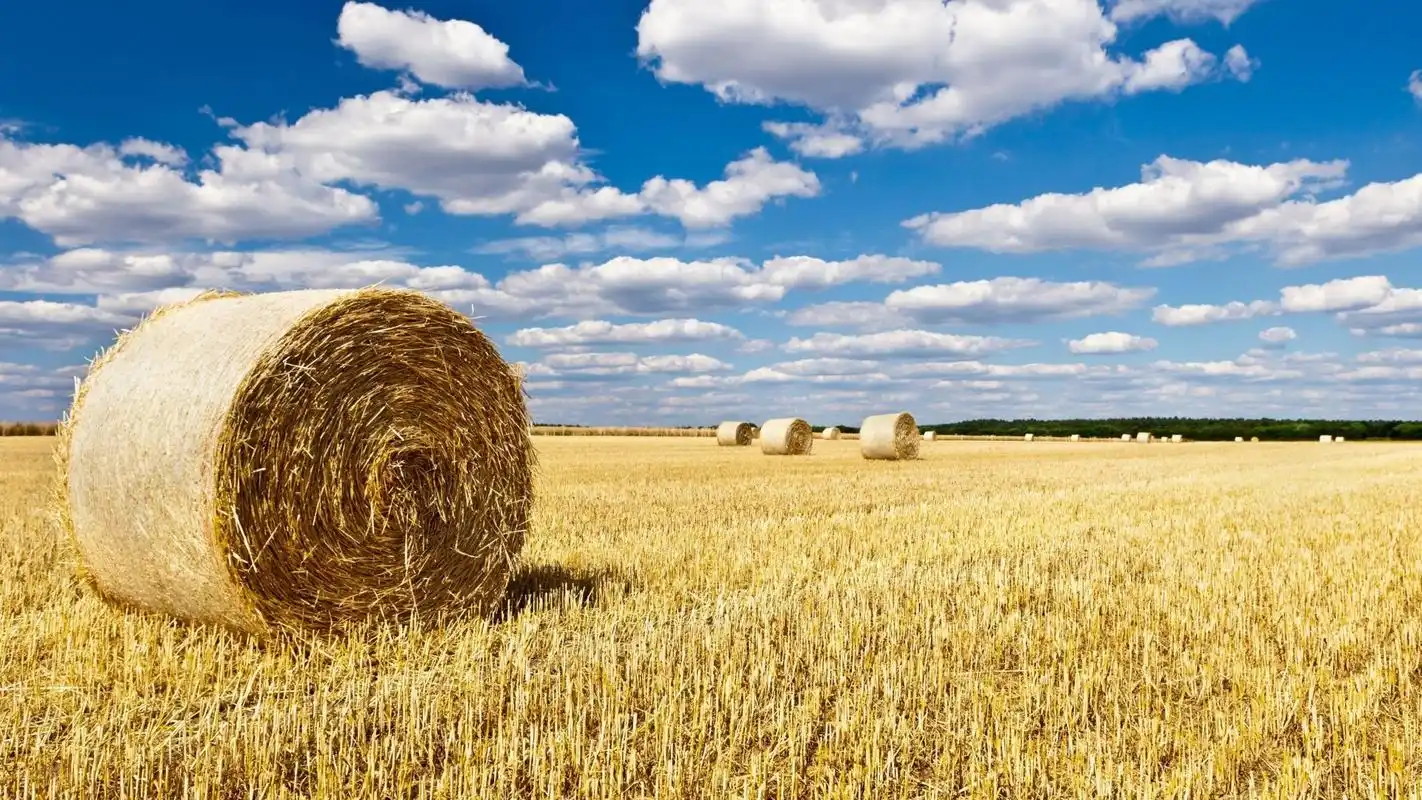 秋天田野丰收草卷唯美摄影宽屏电脑桌面壁纸第五辑_风景壁纸_壁纸下载