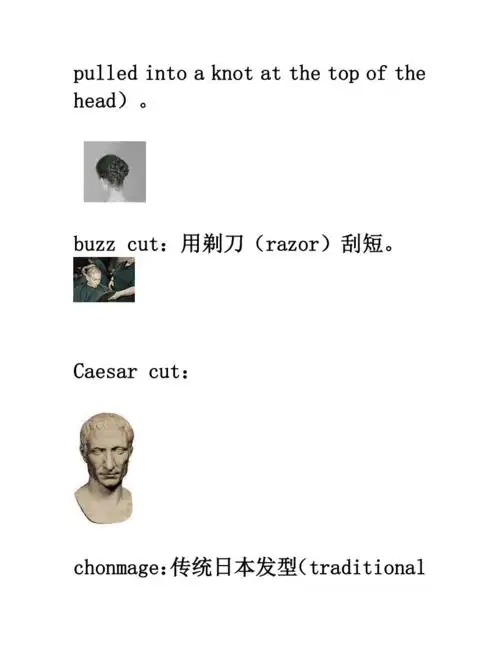 各种发型的英文表达doc