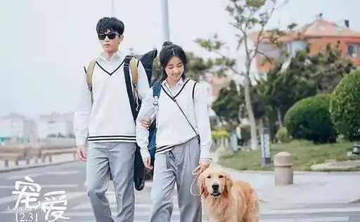 《宠爱》暖心首播,带你走进宠物世界,吴磊张子枫的真情感动到哭_生活