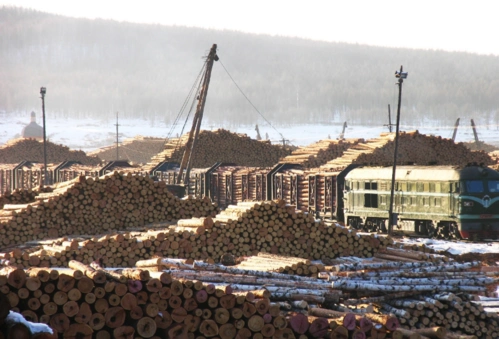 旅游:当年风光无限的莫尔道嘎贮木场,木材一眼望不到头!