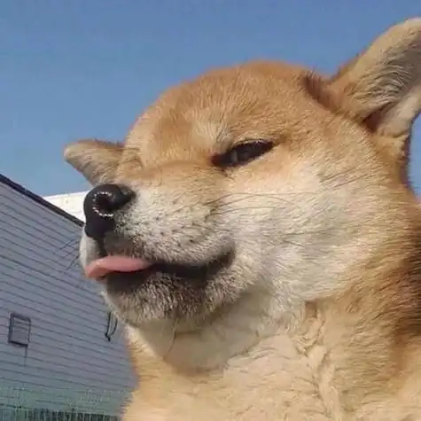 高清马云搞笑图片头像高清父母用的情侣头像搞笑表情头像逗比搞笑图