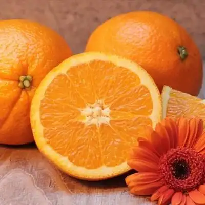 微信头像水果_头像图片_扣扣乐园