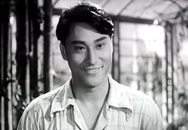 著名演员中叔皇渡江侦察记演杨威独立大队饰叶永茂