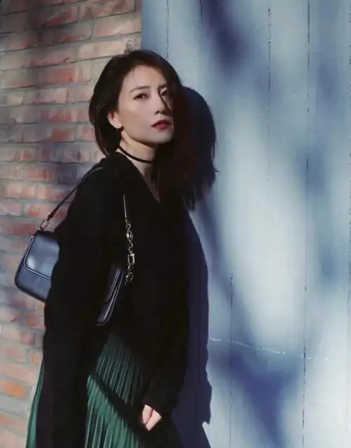 高圆圆百褶裙搭配v领针织衫女王范依旧