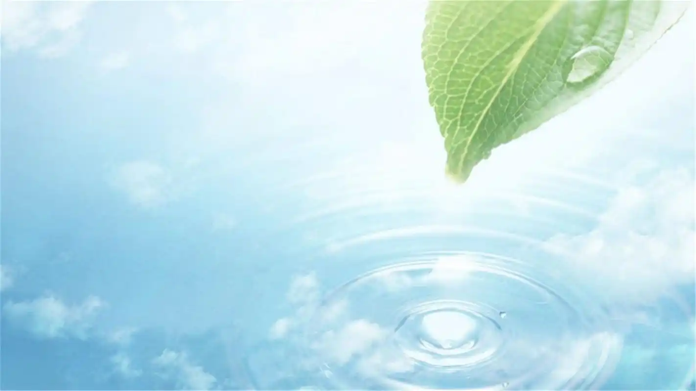 小清新绿叶绿色护眼电脑高清壁纸下载