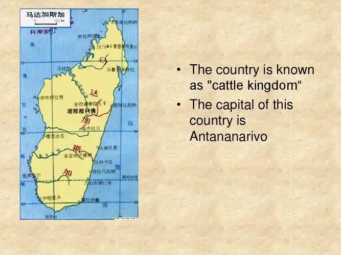 英文ppt马达加斯加岛