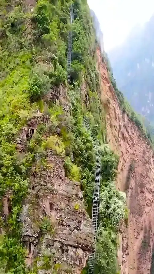 这就是四川大凉山的悬崖村,进出的必经之路,光看着我都腿软!