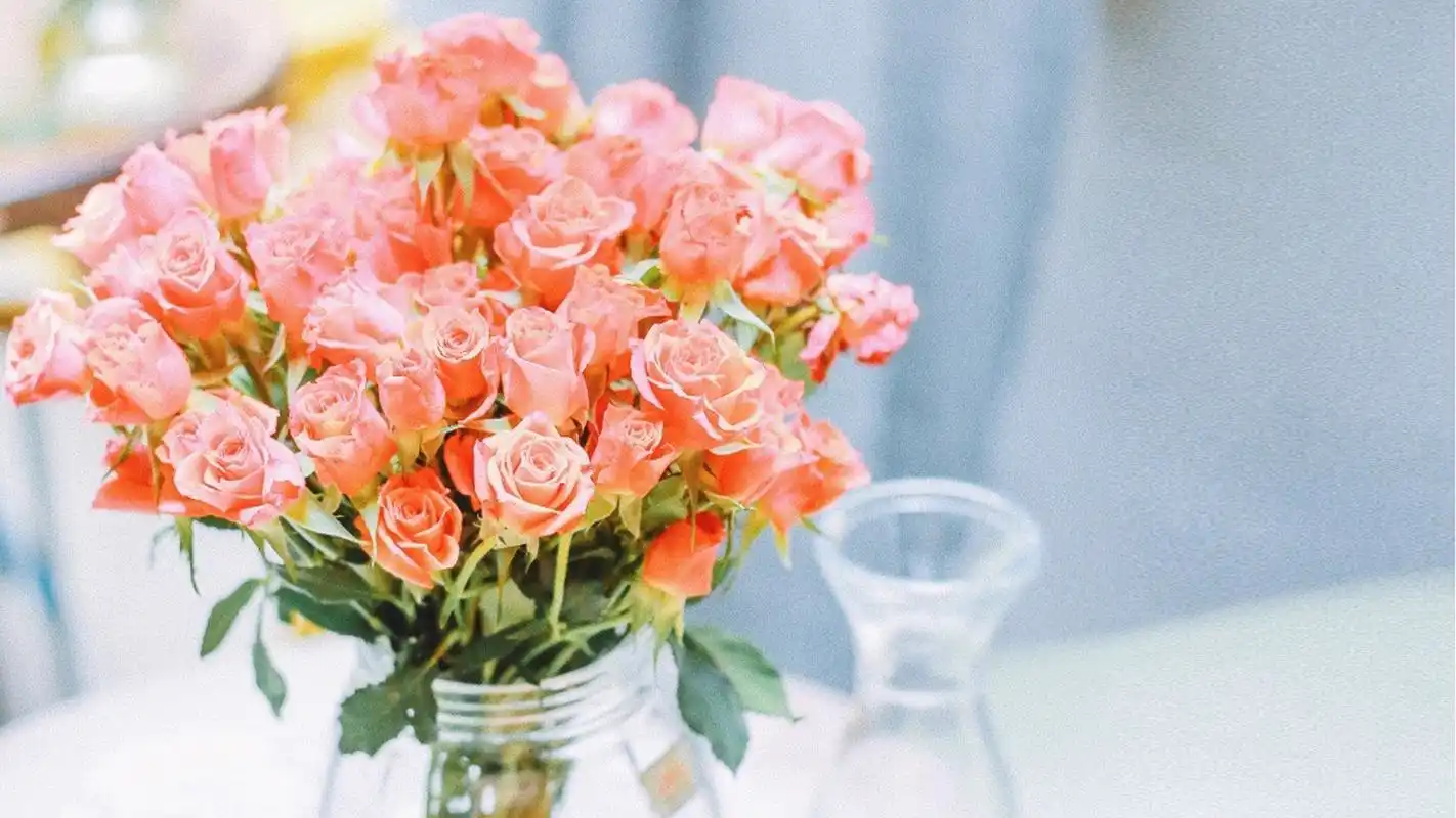 治愈系高清静物唯美意境图片桌面壁纸