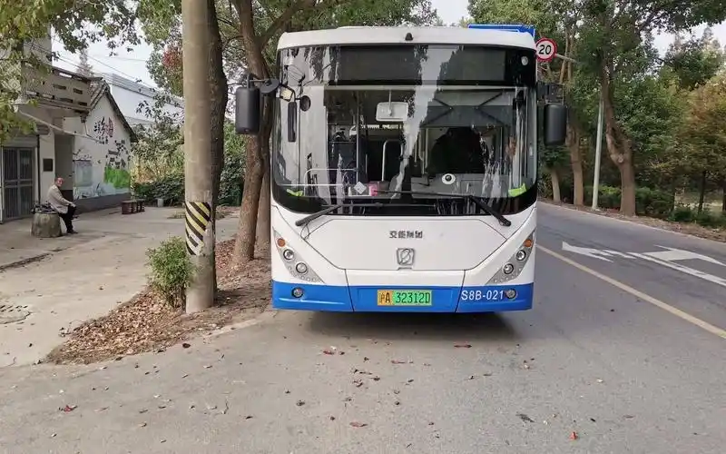 【pov60】上海奉贤公交 庄行2线 渔沥11组-潘垫村村委全程_哔哩哔哩