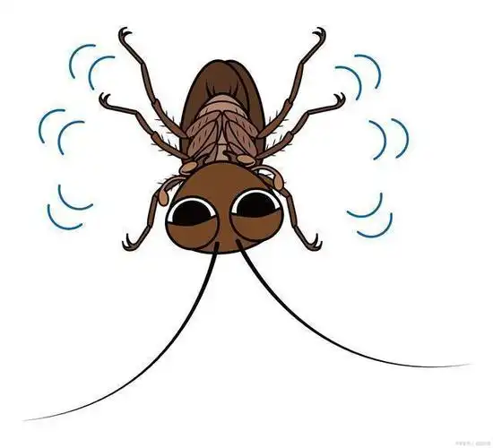 九成人不知蟑螂天敌是啥家里放一物蟑螂跑光光了